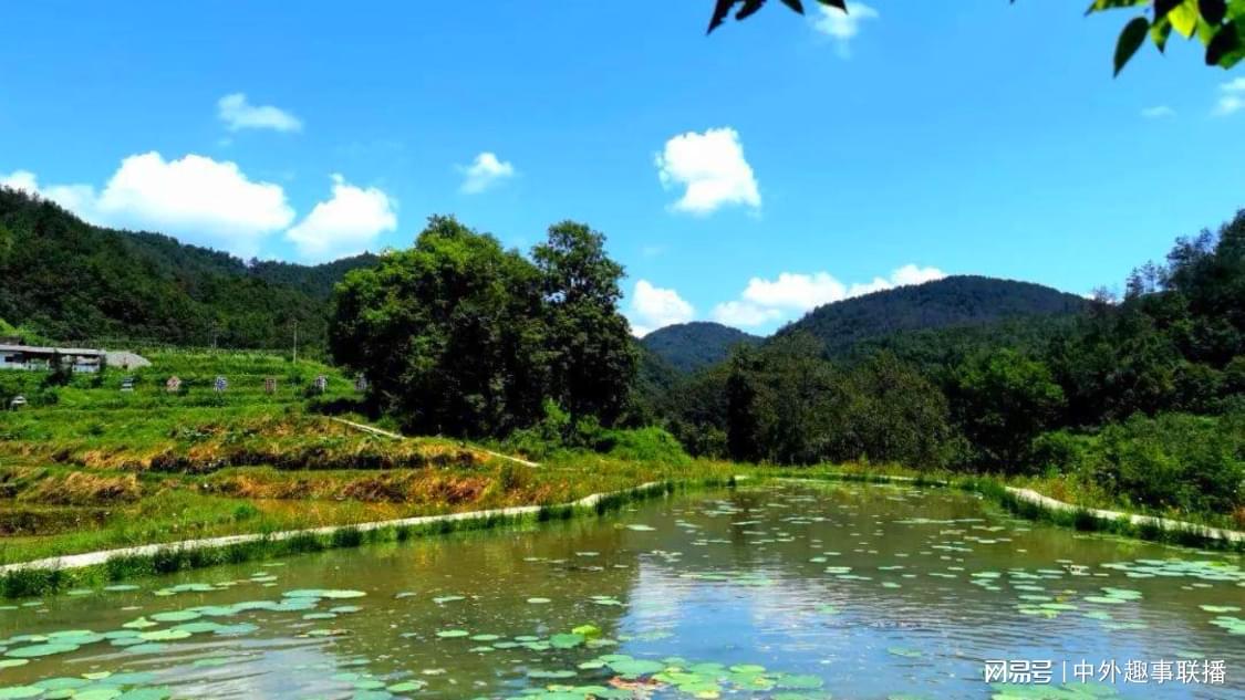 稍早前付费推广场景化定制您的网络平台:长期免费引流的双核心宋威龙演技